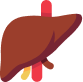 Liver Tests