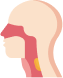 Throat Pain